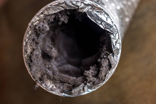 Best HVAC Air Duct Cleaning  in Dandridge, TN