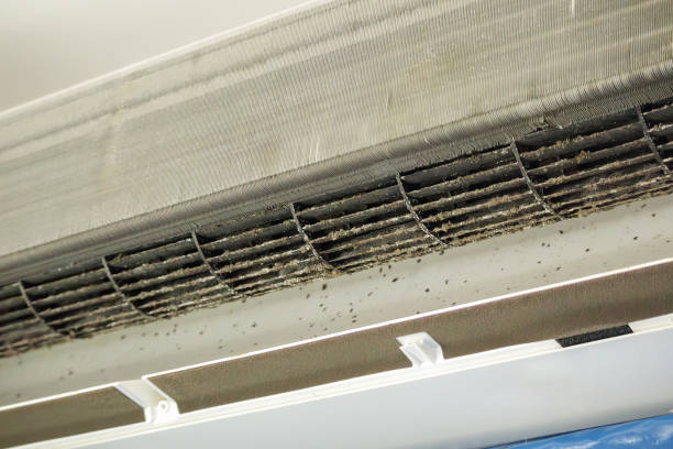 Best Commercial HVAC Duct Cleaning  in Dandridge, TN